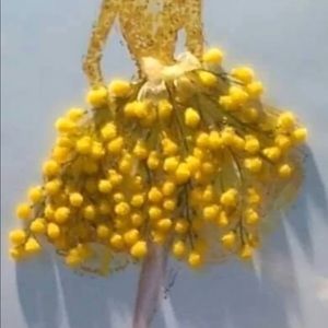 Meet your Posher, Badia